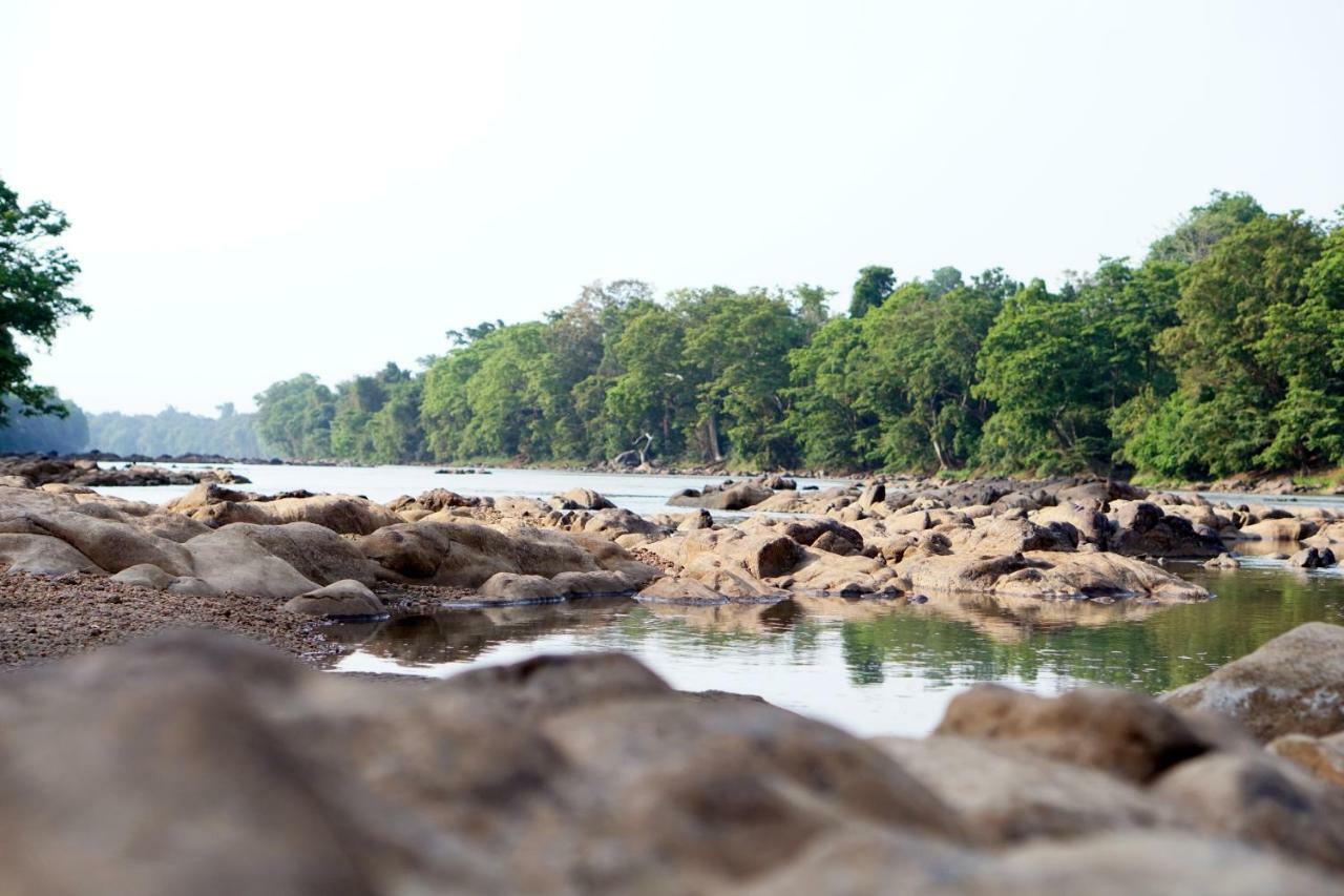 Wasgamu Safari Lodge Wasgamuwa المظهر الخارجي الصورة